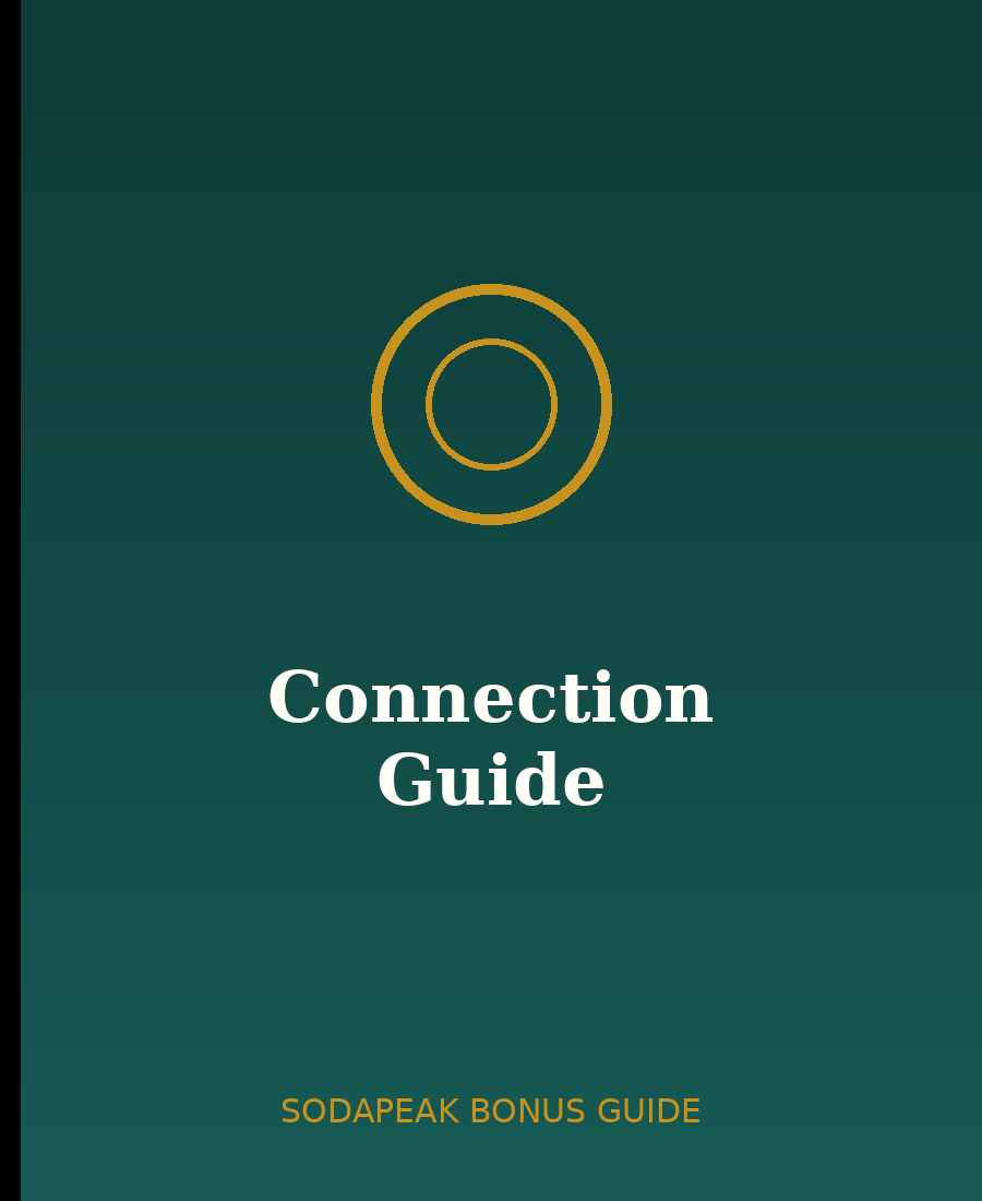 Connection Guide bonus cover